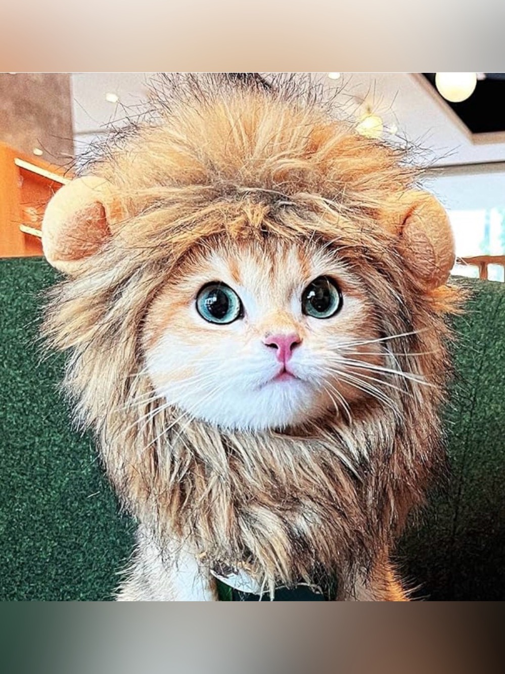 RosyLife Lion Mane Cat Costume (Brown)